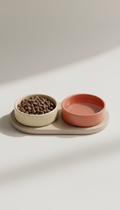 Ceramic food and water bowl set