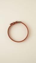 Terracotta leather dog collar